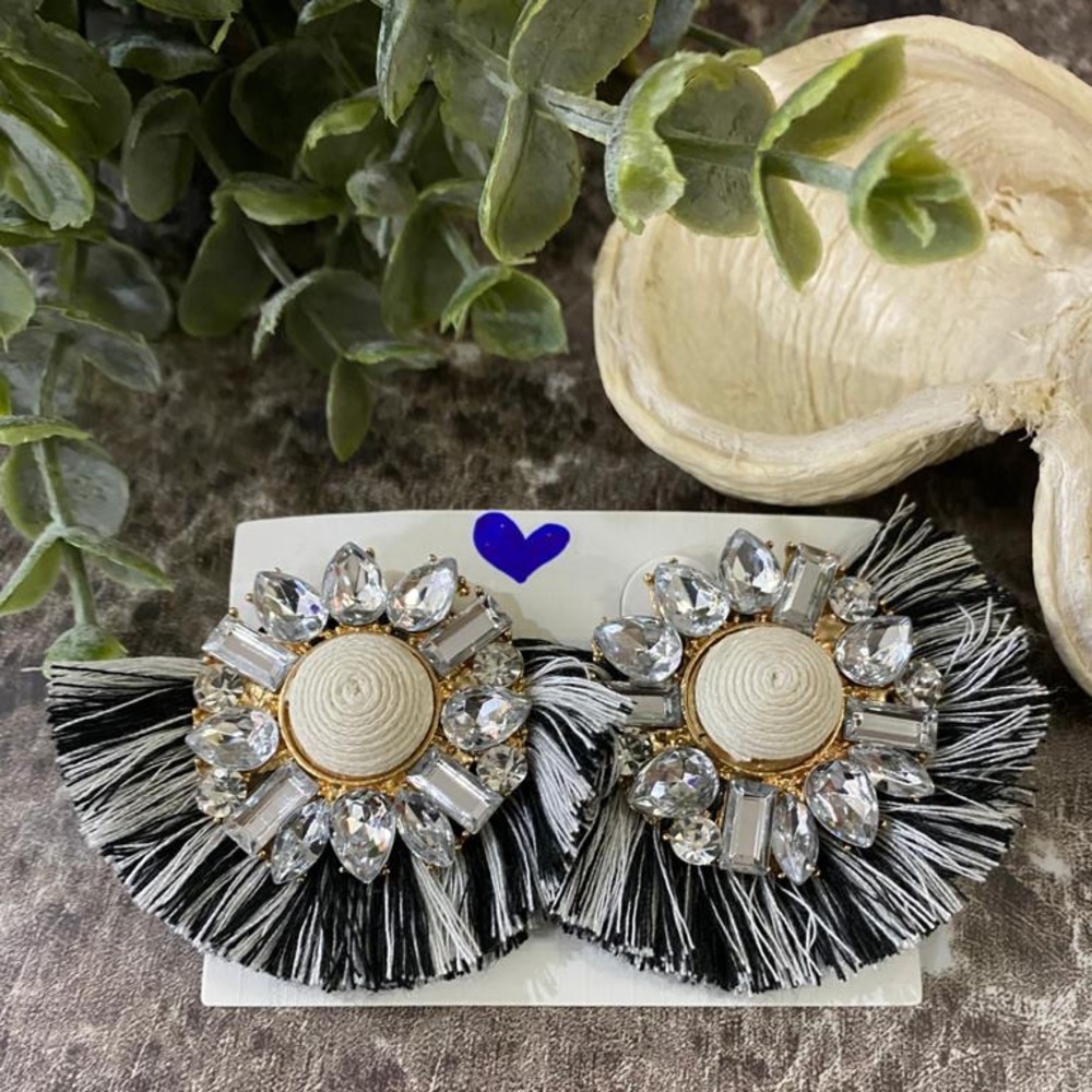 Fashion earrings